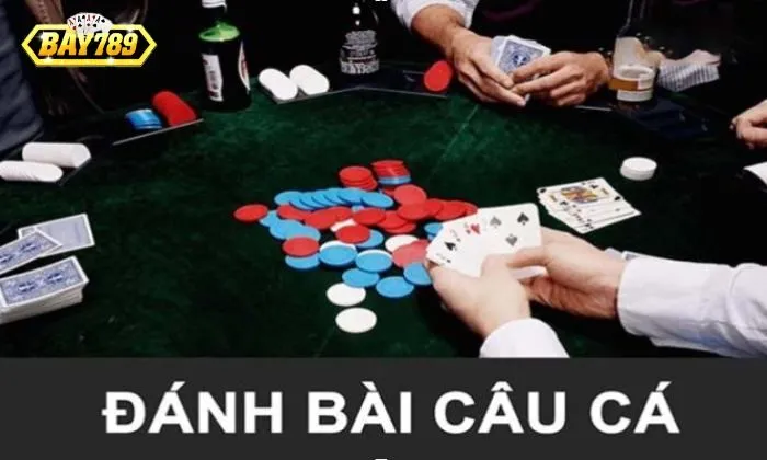 Bài câu cá là gì Giải đáp thắc mắc trò chơi Bài câu cá là gì?