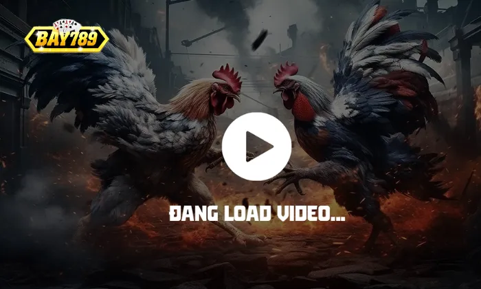 Ưu điểm của Đá Gà Bay789 so với nhà cái khác